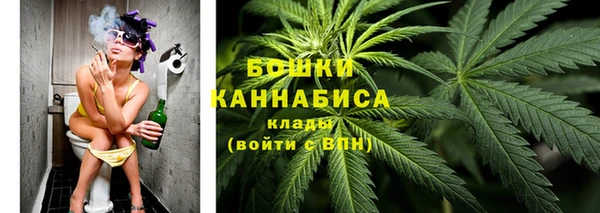 ПСИЛОЦИБИНОВЫЕ ГРИБЫ Рославль